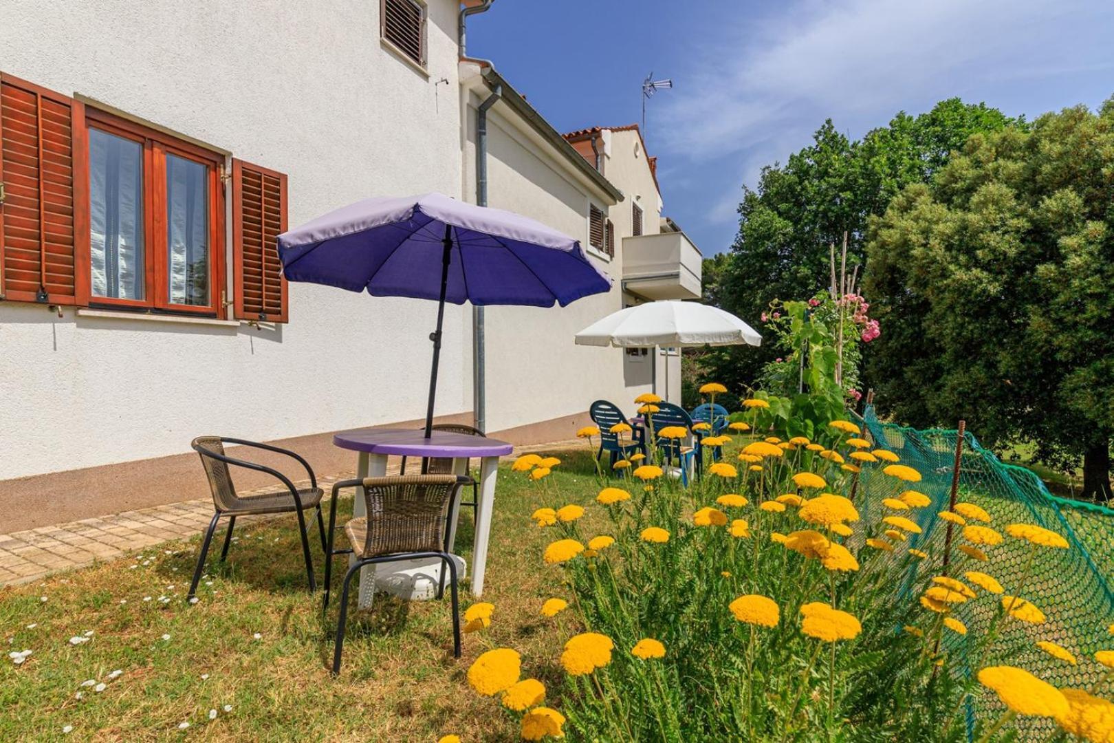 Apartments Pernar ポレッチ エクステリア 写真