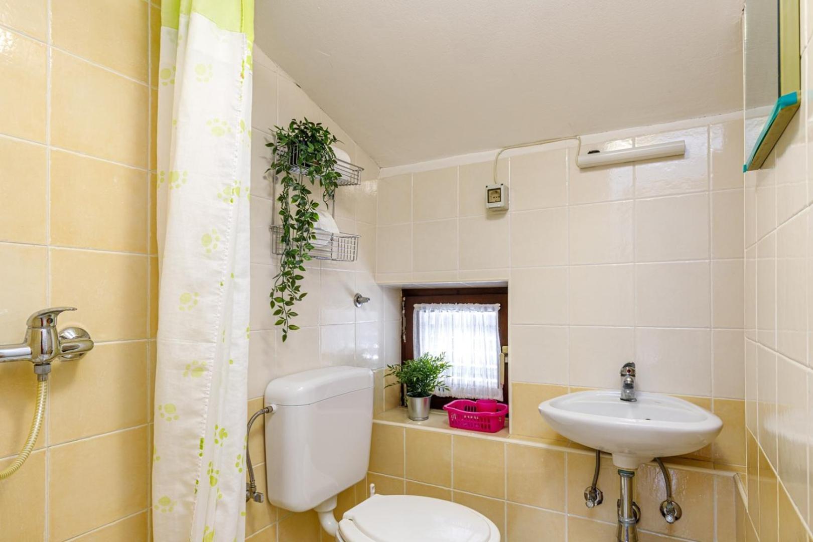 Apartments Pernar ポレッチ 部屋 写真